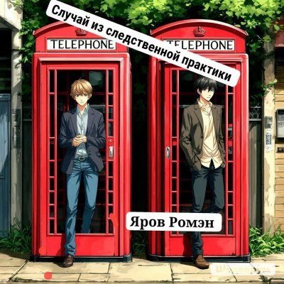 Аудиокнига Яров Ромэн – Случай из следственной практики