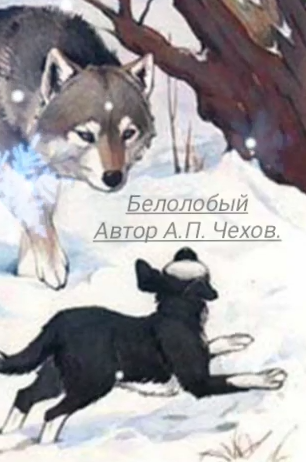 Аудиокнига Чехов Антон – Белолобый
