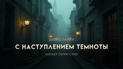 Аудиокнига Райли Дэвид – С наступлением темноты