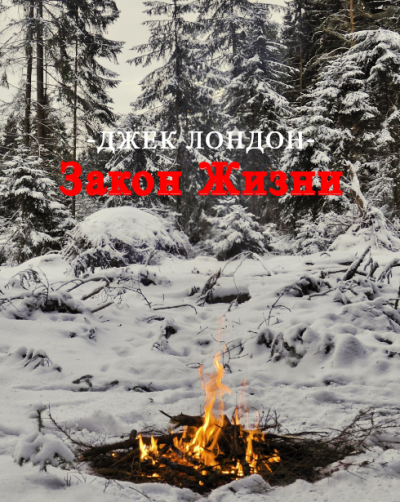Слушайте бесплатные аудиокниги на русском языке | Audiobukva.ru Джек Лондон – Закон жизни