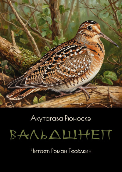 Слушайте бесплатные аудиокниги на русском языке | Audiobukva.ru Акутагава Рюноскэ – Вальдшнеп