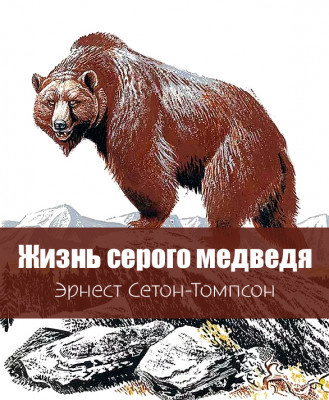 Аудиокнига Сетон-Томпсон Эрнест – Жизнь серого медведя