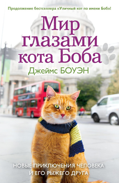 Слушайте бесплатные аудиокниги на русском языке | Audiobukva.ru Боуэн Джеймс – Мир глазами кота Боба