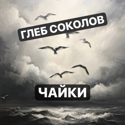 Слушайте бесплатные аудиокниги на русском языке | Audiobukva.ru Соколов Глеб – Чайки. Часть 2