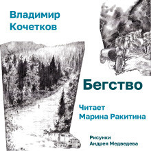 Аудиокнига Кочетков Владимир – Бегство