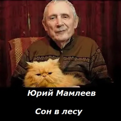 Слушайте бесплатные аудиокниги на русском языке | Audiobukva.ru Мамлеев Юрий – Сон в лесу Слушайте бесплатные аудиокниги на русском языке | Audiobukva.ru Мамлеев Юрий – Сон в лесу