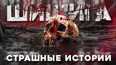 Слушайте бесплатные аудиокниги на русском языке | Audiobukva.ru Лихачёва Юлия – Шишига