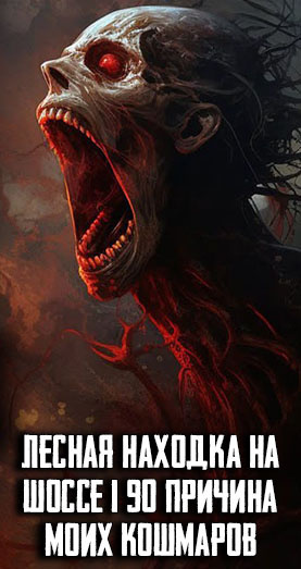 Слушайте бесплатные аудиокниги на русском языке | Audiobukva.ru Гаджиева Алия – Лесная находка на шоссе I 90 причина моих кошмаров