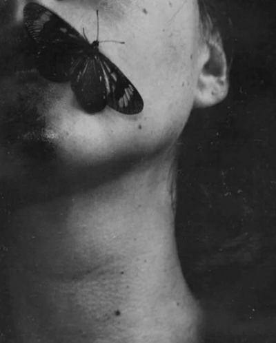 Аудиокнига Сенчукова Валентина – Логово мотылька