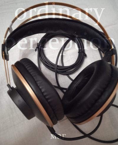 Слушайте бесплатные аудиокниги на русском языке | Audiobukva.ru Естествов Максим (МАГ) – Ordinary perception