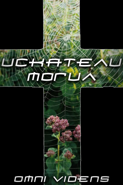 Слушайте бесплатные аудиокниги на русском языке | Audiobukva.ru Videns Omni – Искатели могил