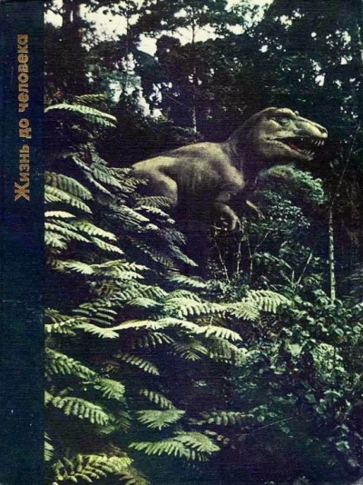 Аудиокнига Вуд Питер – Жизнь до человека