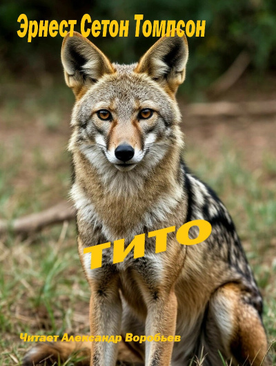 Слушайте бесплатные аудиокниги на русском языке | Audiobukva.ru Эрнест Сетон Томпсон – Тито