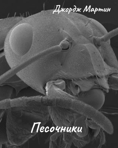 Слушайте бесплатные аудиокниги на русском языке | Audiobukva.ru Мартин Джордж – Песочники