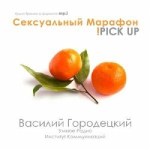 Слушайте бесплатные аудиокниги на русском языке | Audiobukva.ru | Городецкий Василий - Сверхвозможности Визуализации