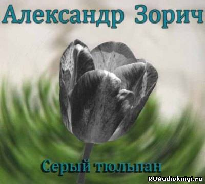Слушайте бесплатные аудиокниги на русском языке | Audiobukva.ru Зорич Александр - Серый тюльпан Слушайте бесплатные аудиокниги на русском языке | Audiobukva.ru Зорич Александр - Серый тюльпан