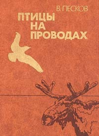 Слушайте бесплатные аудиокниги на русском языке | Audiobukva.ru Песков Василий - Птицы на проводах