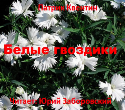 Слушайте бесплатные аудиокниги на русском языке | Audiobukva.ru Квентин Патрик - Белые гвоздики Слушайте бесплатные аудиокниги на русском языке | Audiobukva.ru Квентин Патрик - Белые гвоздики