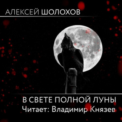 Слушайте бесплатные аудиокниги на русском языке | Audiobukva.ru | Шолохов Алексей - В свете полной луны