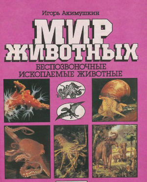 Слушайте бесплатные аудиокниги на русском языке | Audiobukva.ru Акимушкин Игорь - Беспозвоночные. Ископаемые животные Слушайте бесплатные аудиокниги на русском языке | Audiobukva.ru Акимушкин Игорь - Беспозвоночные. Ископаемые животные