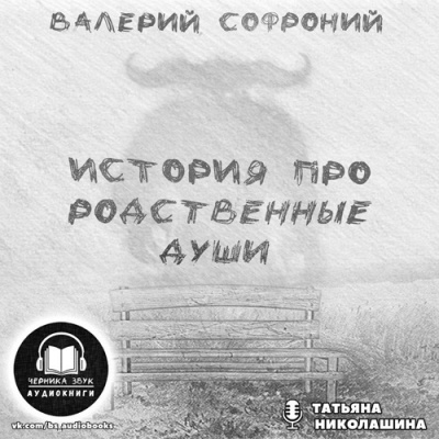 Слушайте бесплатные аудиокниги на русском языке | Audiobukva.ru Софроний Валерий - История про родственные души