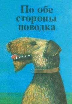 Слушайте бесплатные аудиокниги на русском языке | Audiobukva.ru Сетон-Томпсон Эрнест - Снап. История бультерьера Слушайте бесплатные аудиокниги на русском языке | Audiobukva.ru Сетон-Томпсон Эрнест - Снап. История бультерьера