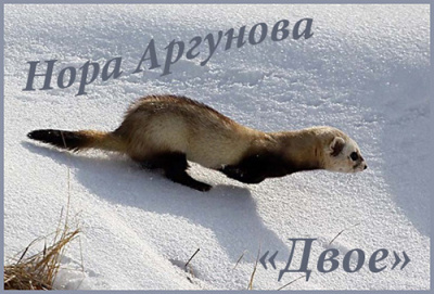 Слушайте бесплатные аудиокниги на русском языке | Audiobukva.ru Аргунова Нора - Двое Слушайте бесплатные аудиокниги на русском языке | Audiobukva.ru Аргунова Нора - Двое