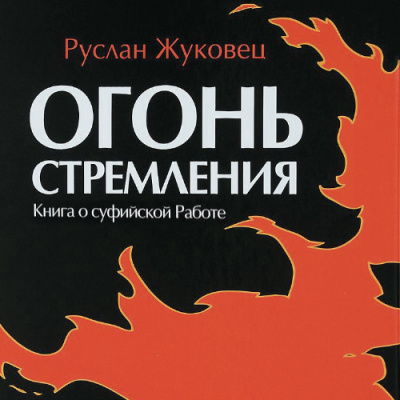 Слушайте бесплатные аудиокниги на русском языке | Audiobukva.ru | Жуковец Руслан - Огонь стремления. Книга о суфийской Работе