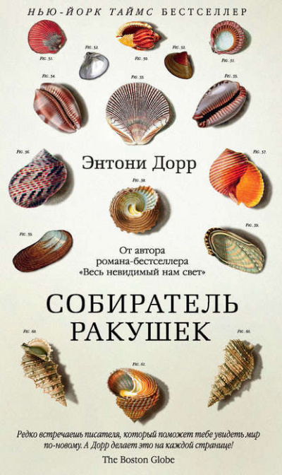 Слушайте бесплатные аудиокниги на русском языке | Audiobukva.ru Дорр Энтони - Собиратель ракушек Слушайте бесплатные аудиокниги на русском языке | Audiobukva.ru Дорр Энтони - Собиратель ракушек