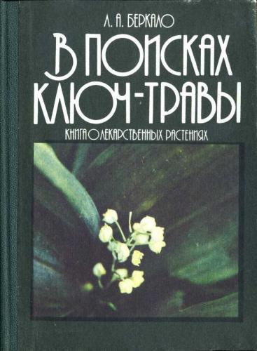 Слушайте бесплатные аудиокниги на русском языке | Audiobukva.ru Беркало Людмила - В поисках ключ-травы