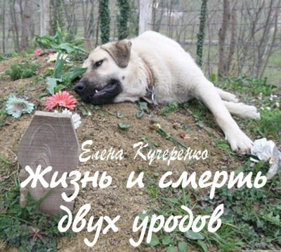 Слушайте бесплатные аудиокниги на русском языке | Audiobukva.ru Кучеренко Елена - Жизнь и смерть двух уродов Слушайте бесплатные аудиокниги на русском языке | Audiobukva.ru Кучеренко Елена - Жизнь и смерть двух уродов