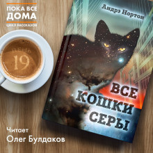Слушайте бесплатные аудиокниги на русском языке | Audiobukva.ru Нортон Андрэ - Все кошки серы Слушайте бесплатные аудиокниги на русском языке | Audiobukva.ru Нортон Андрэ - Все кошки серы
