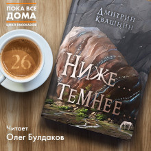 Слушайте бесплатные аудиокниги на русском языке | Audiobukva.ru Квашнин Дмитрий - Ниже... темнее...