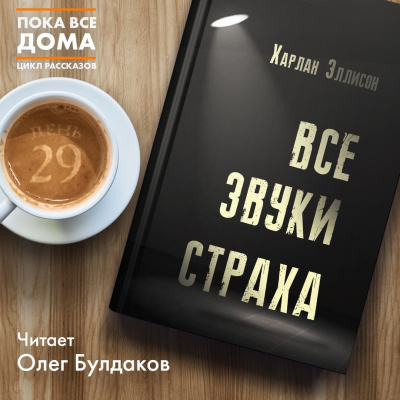 Слушайте бесплатные аудиокниги на русском языке | Audiobukva.ru Эллисон Харлан - Все звуки страха