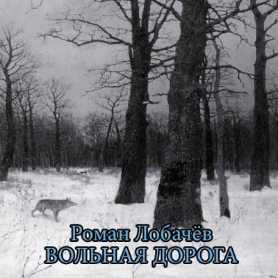 Слушайте бесплатные аудиокниги на русском языке | Audiobukva.ru Лобачёв Роман - Вольная дорога Слушайте бесплатные аудиокниги на русском языке | Audiobukva.ru Лобачёв Роман - Вольная дорога