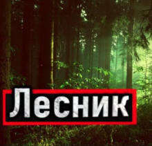 Слушайте бесплатные аудиокниги на русском языке | Audiobukva.ru Устинов Александр - Лесник