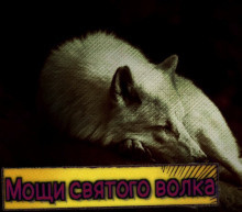 Слушайте бесплатные аудиокниги на русском языке | Audiobukva.ru Немец Евгений - Мощи святого волка Слушайте бесплатные аудиокниги на русском языке | Audiobukva.ru Немец Евгений - Мощи святого волка