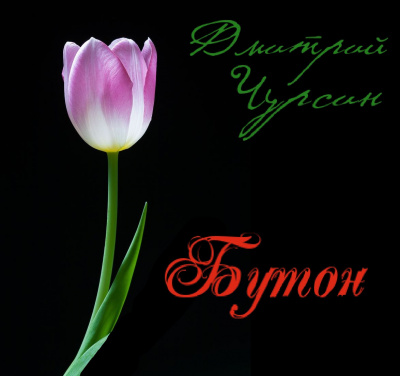 Слушайте бесплатные аудиокниги на русском языке | Audiobukva.ru Чурсин Дмитрий - Бутон Слушайте бесплатные аудиокниги на русском языке | Audiobukva.ru Чурсин Дмитрий - Бутон