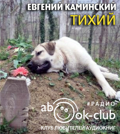 Аудиокнига Каминский Евгений - Тихий