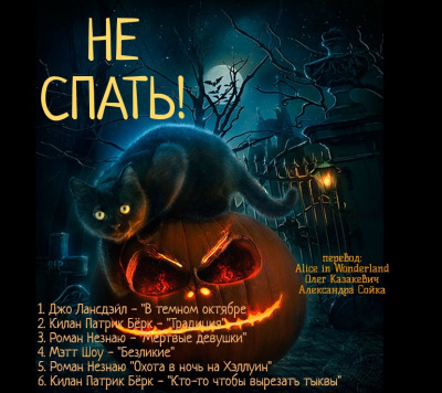 Слушайте бесплатные аудиокниги на русском языке | Audiobukva.ru Не спать