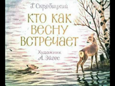 Слушайте бесплатные аудиокниги на русском языке | Audiobukva.ru Скребицкий Георгий - Кто как весну встречает