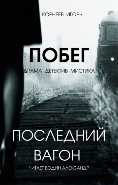 Слушайте бесплатные аудиокниги на русском языке | Audiobukva.ru Корнеев Игорь - Последний вагон. Побег