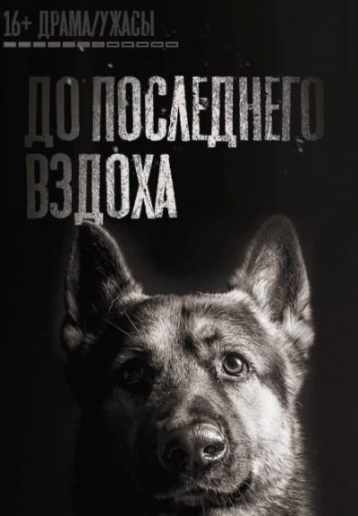 Слушайте бесплатные аудиокниги на русском языке | Audiobukva.ru Кривенцов Феликс - До последнего вздоха Слушайте бесплатные аудиокниги на русском языке | Audiobukva.ru Кривенцов Феликс - До последнего вздоха