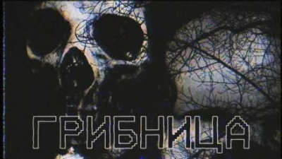 Слушайте бесплатные аудиокниги на русском языке | Audiobukva.ru Грибница