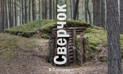 Слушайте бесплатные аудиокниги на русском языке | Audiobukva.ru Слесарев Вячеслав - Сверчок Слушайте бесплатные аудиокниги на русском языке | Audiobukva.ru Слесарев Вячеслав - Сверчок