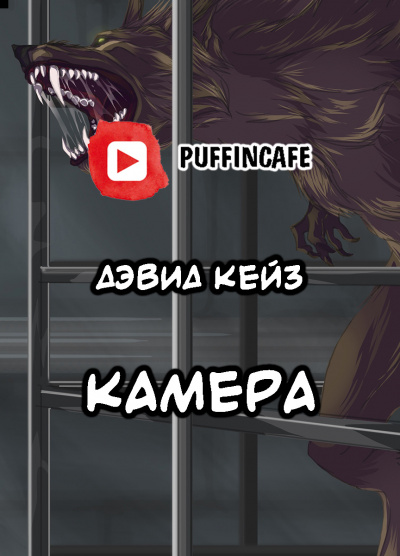 Слушайте бесплатные аудиокниги на русском языке | Audiobukva.ru Кейз Дэвид - Камера