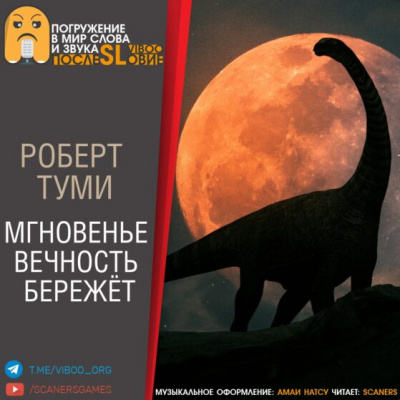 Слушайте бесплатные аудиокниги на русском языке | Audiobukva.ru Туми Роберт - Мгновенье вечность бережёт