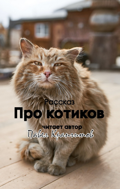 Слушайте бесплатные аудиокниги на русском языке | Audiobukva.ru Крапчитов Павел - Про котиков