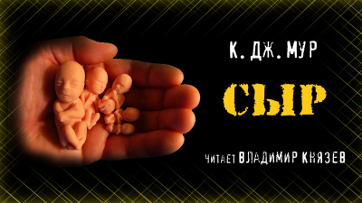 Слушайте бесплатные аудиокниги на русском языке | Audiobukva.ru Мур К. Дж - Сыр