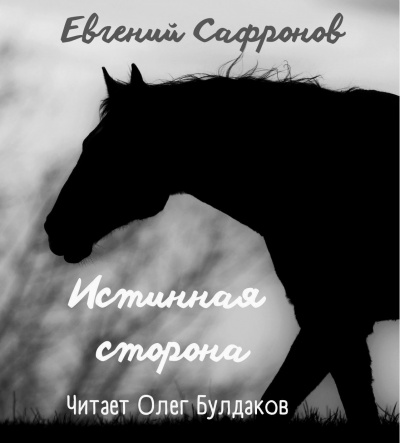 Слушайте бесплатные аудиокниги на русском языке | Audiobukva.ru Сафронов Евгений - Истинная сторона Слушайте бесплатные аудиокниги на русском языке | Audiobukva.ru Сафронов Евгений - Истинная сторона